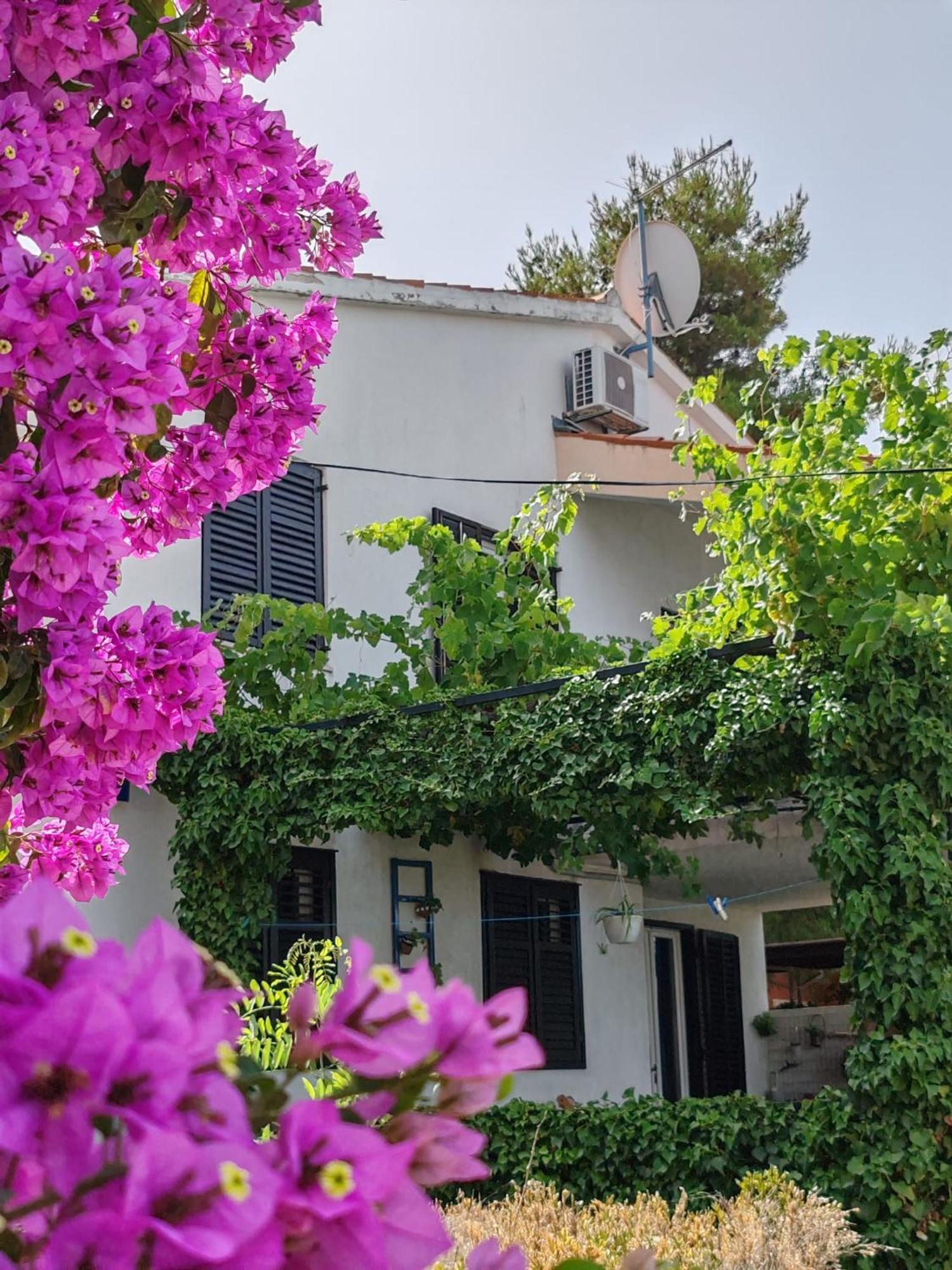 Apartments Markotic كليك المظهر الخارجي الصورة