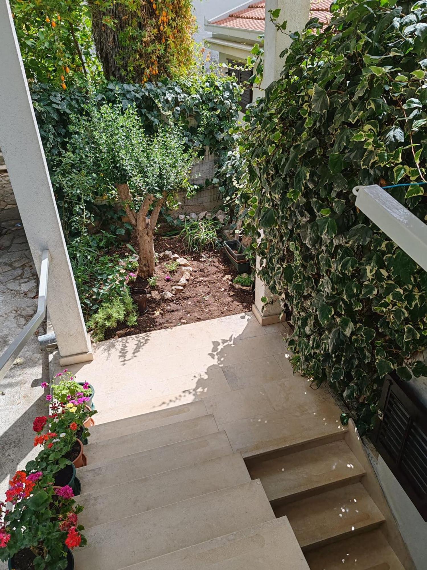 Apartments Markotic كليك المظهر الخارجي الصورة
